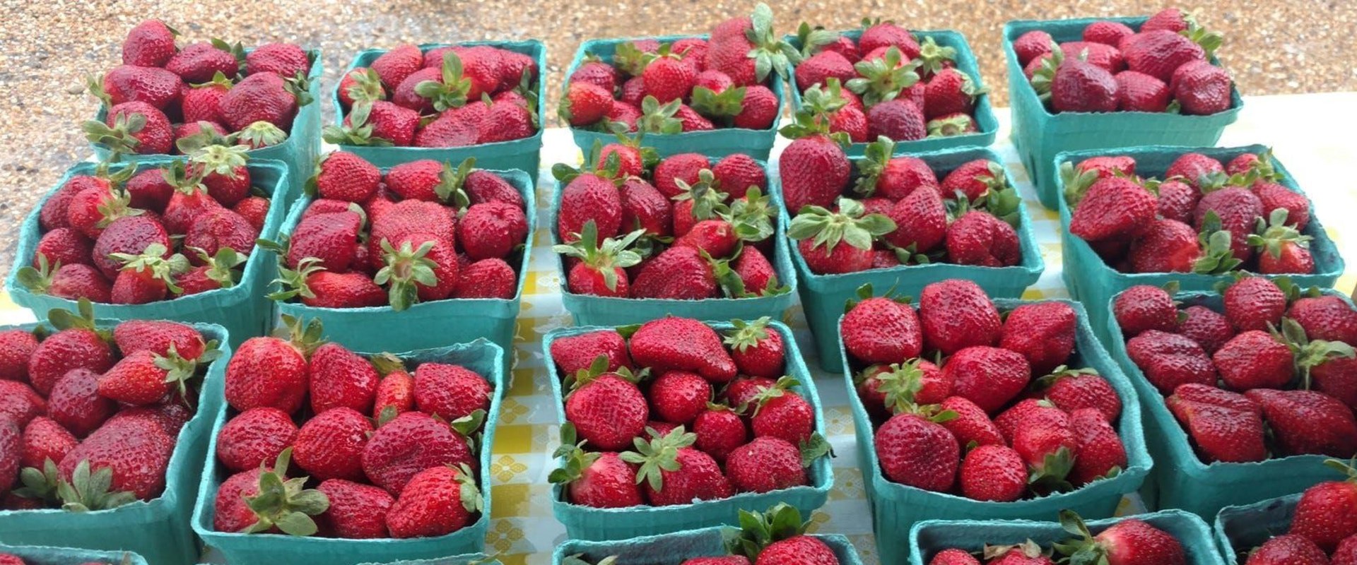 How Much Does a Flat of Strawberries Cost at the Plant City Strawberry